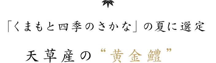 「くまもと四季のさかな」の夏に選定 天草産の“黄金鱧” 